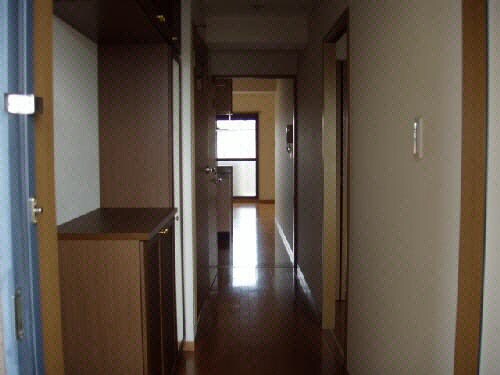 物件内観写真11　(玄関同型202)