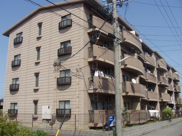外観(外観)