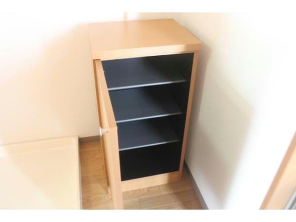 玄関回り(同型タイプ)