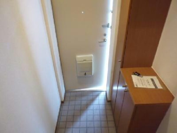 玄関回り(同型タイプ)
