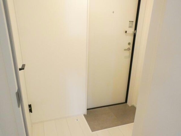 玄関回り(同型タイプ)