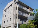 エクセレンス朝日