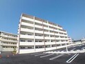バーム　グローリー