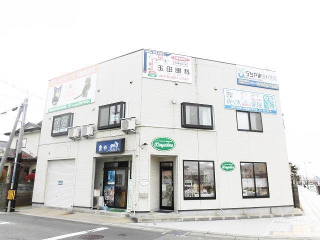ロオジェ
