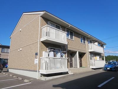 カリーノビータ