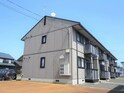 チコリー若葉A