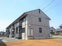 チコリー若葉Ｂ
