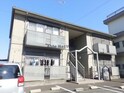 アゼリア