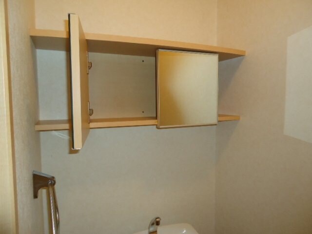 物件内観写真21　(トイレ収納（別室写真）)