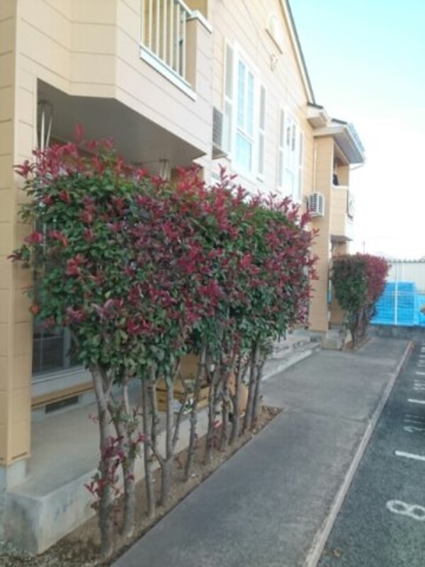 建物設備(その他)