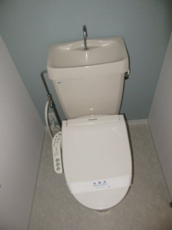 トイレ(落ち着いた色調のトイレです（一部アクセントクロス変更）)