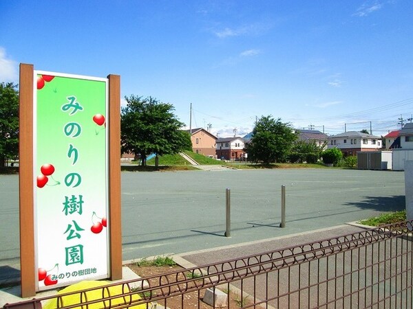 その他(その他)