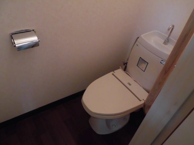 物件内観写真6　(落ち着いたトイレです)