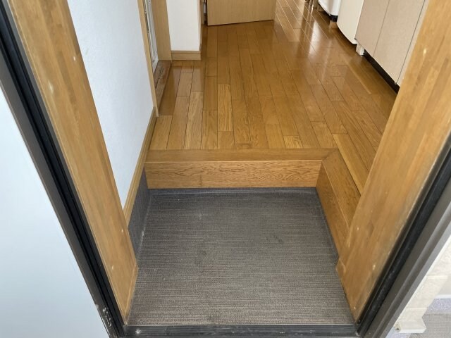 物件内観写真10　(シンプルで使いやすい玄関です)