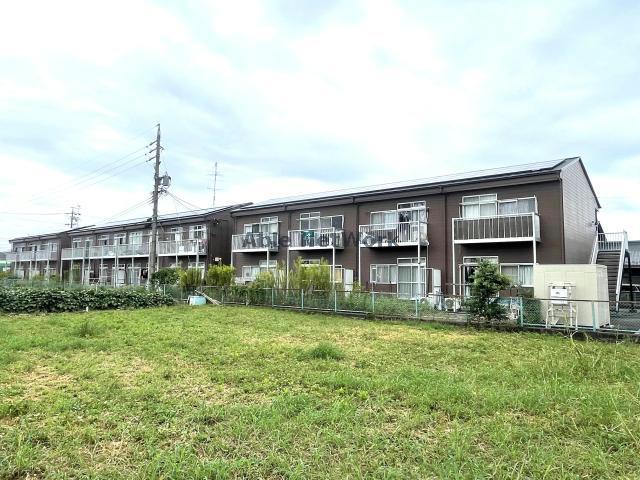 タウニーＮＯ.３