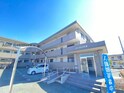 コモドフォレスタ