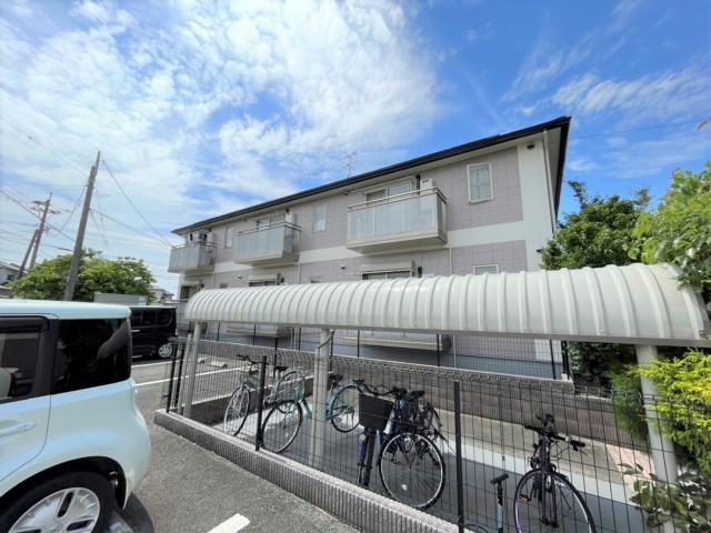 グラスグリーン菊陽