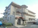 レピュート武蔵Ⅱ