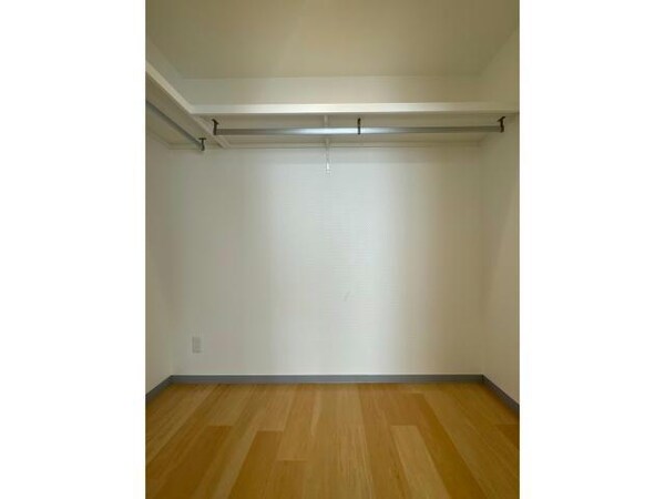 収納(ウォークインクローゼット)