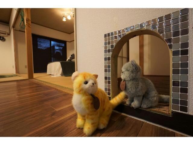 物件内観写真9　(猫ちゃんたちのお部屋？)