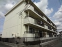 柔美和マンションはまぼう