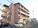 オリーブ　（上島）