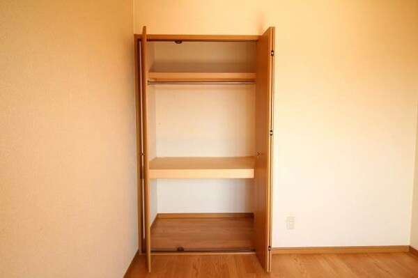 収納(同物件の別の部屋の写真です)