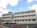 セレ　グレージュ