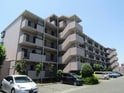 ラ・ネックス川越(川越埼玉県川越市大字小堤)