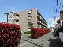 ミレニアム・リュウの外観写真