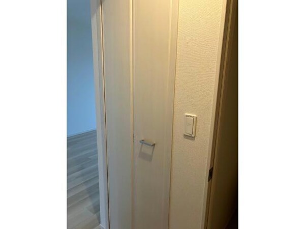 収納(洗面所入口)