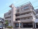 タウニィフジタ