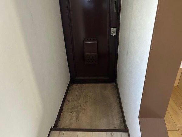 玄関回り