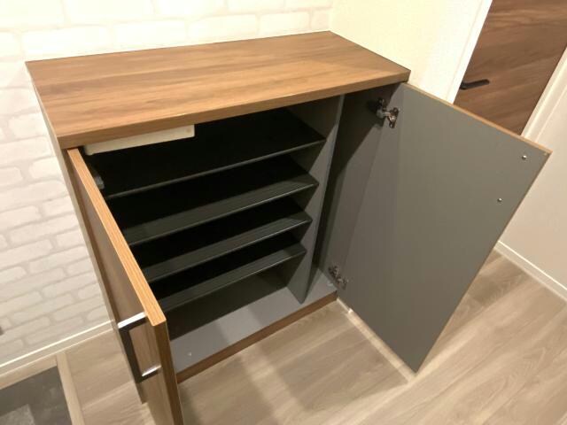 物件内観写真29　(シューズボックス)