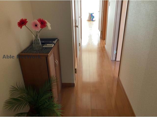 物件内観写真31　(シューズボックス)