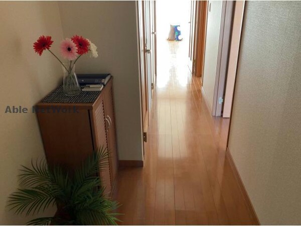 玄関回り(シューズボックス)