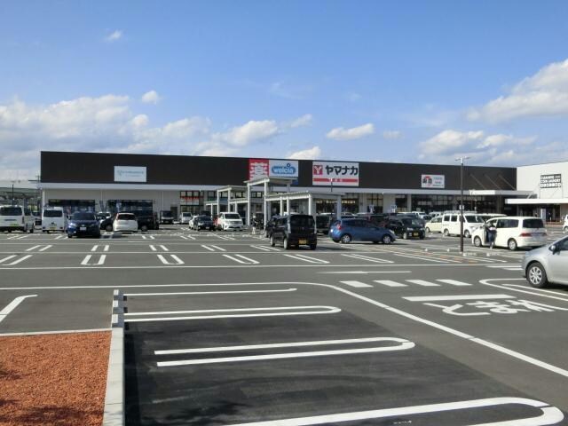 ヤマナカ追進店