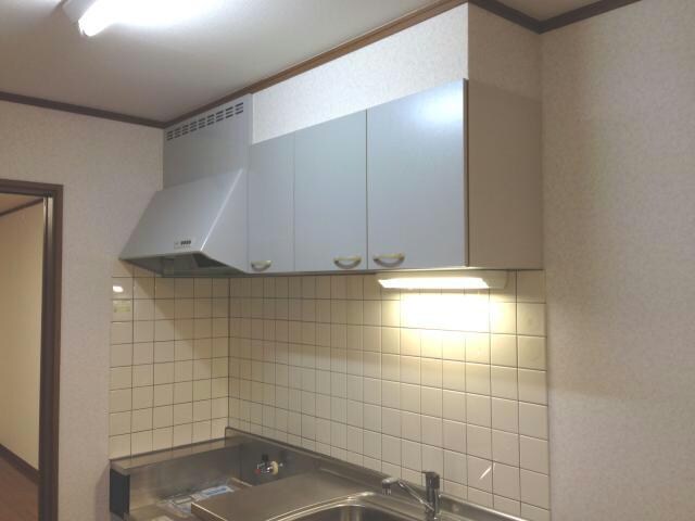 物件内観写真10　(キッチン収納)