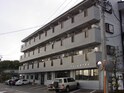 ドミール