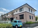 ハイカムールなつめ　Ｂ