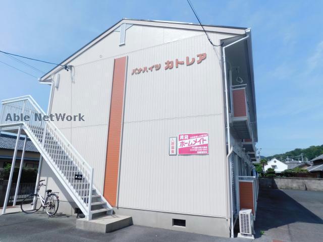 パナハイツカトレア