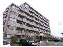 シャトレＭ　(前橋市前箱田町)