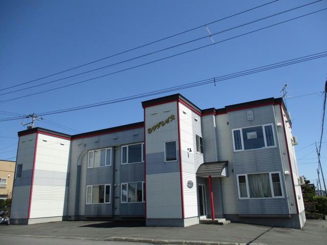ラフプレイス