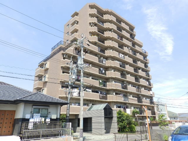 丸美ロイヤル常磐