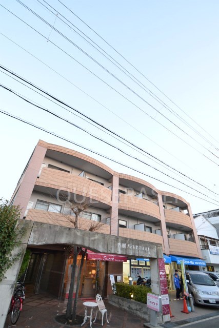 杏樹SENRIYAMA