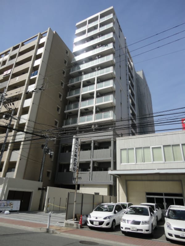 外観・土地