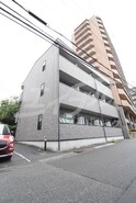 アンプルールフェールカメリア