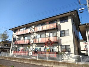 メゾン若宮Ａ外観写真
