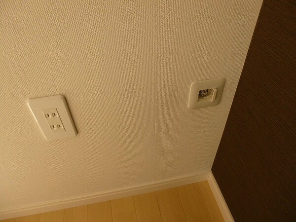 その他設備(写真は別号室です)