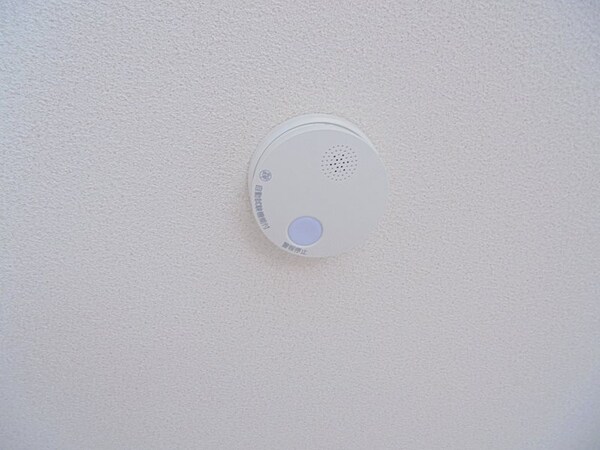その他(写真は203号室です。（参考）)